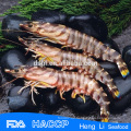 HL002 beste Qualität gefrorene Garnelen und Meeresfrüchte-Mix HACCP-Zertifizierung